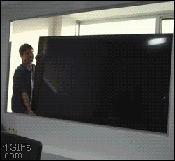 Funniest GIFs Ever