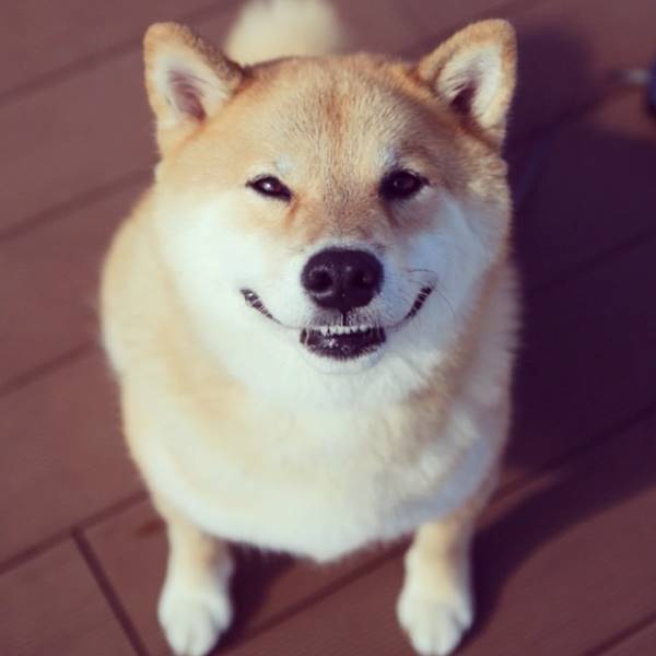Smiling Maru