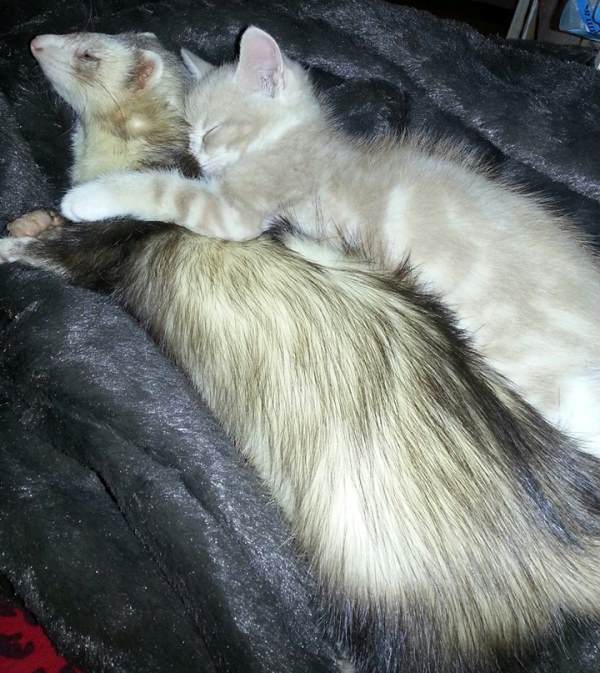 Cuddling