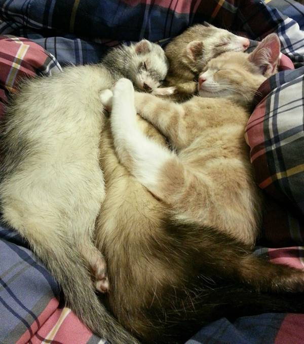 Family Hug