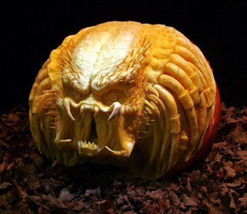 Predator