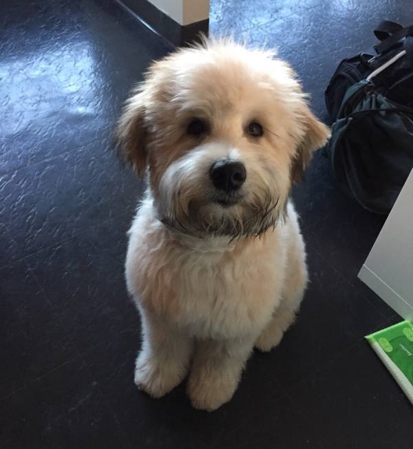 Haircut