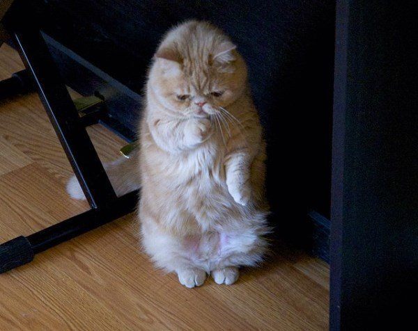 Contemplation