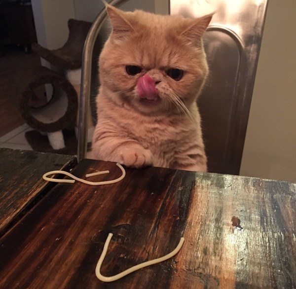 Spaghetti