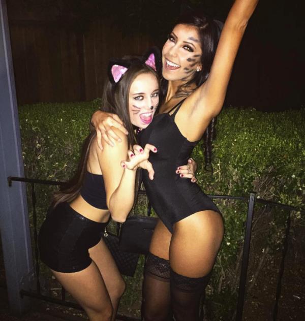 Sexy Cats